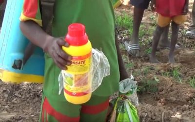 Reportage sur les HERBICIDES