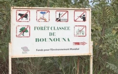 Préservation de 1300 ha de forêt à Bounouna par UGGF-PMF.FEM.PNUD-Afrique’ERE au Burkina