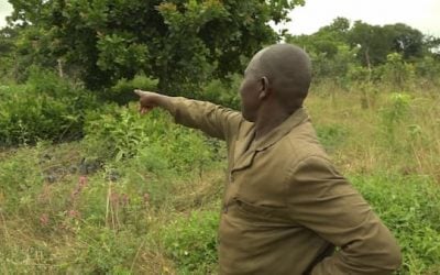 Préservation de 9500 ha de forêt à Gouandougou par UGGF-PMF.FEM.PNUD-Afrique’ERE au Burkina